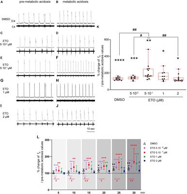 Orexin Neurons Contribute to Central Modulation of Respiratory Drive by Progestins on ex vivo Newborn Rodent Preparations